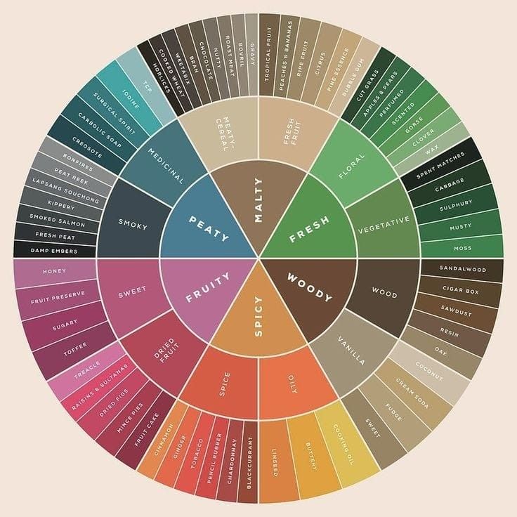Círculo cromático de colores